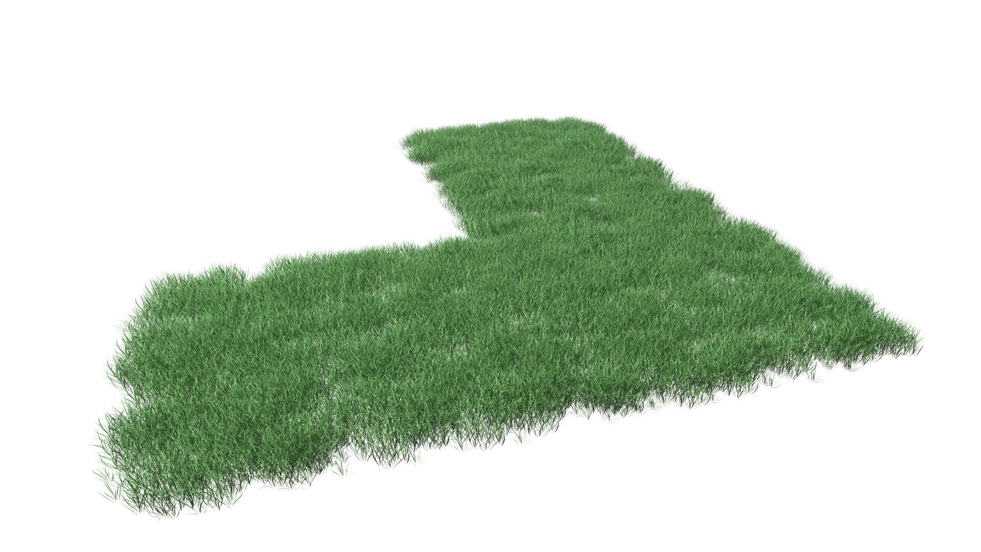 Realistic Lawn Grass Patch 3D model_14