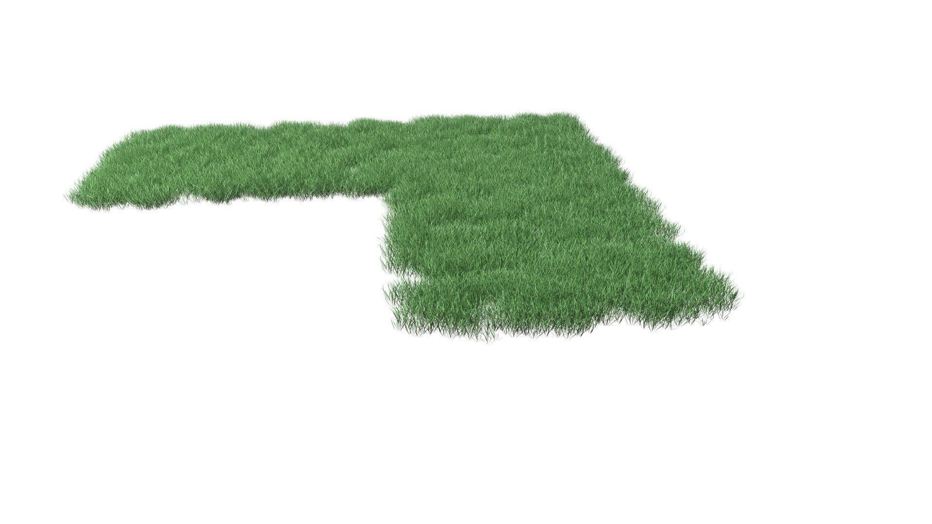 Realistic Lawn Grass Patch 3D model_57