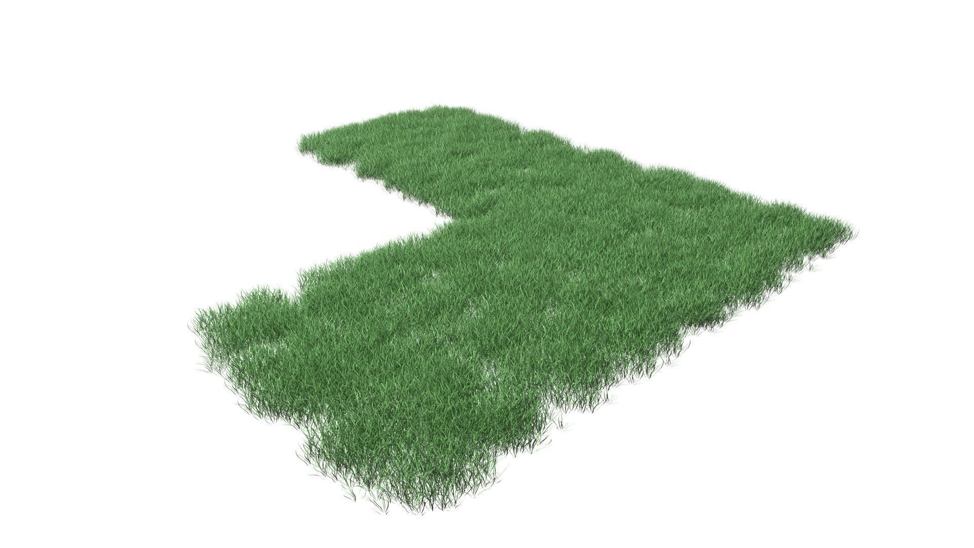 Realistic Lawn Grass Patch 3D model_27
