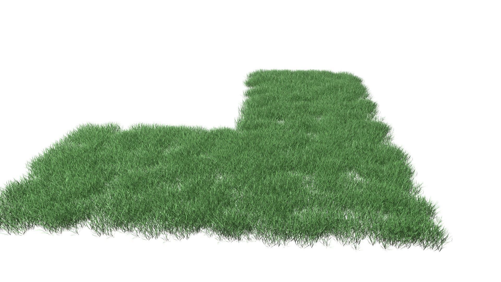Realistic Lawn Grass Patch 3D model_2
