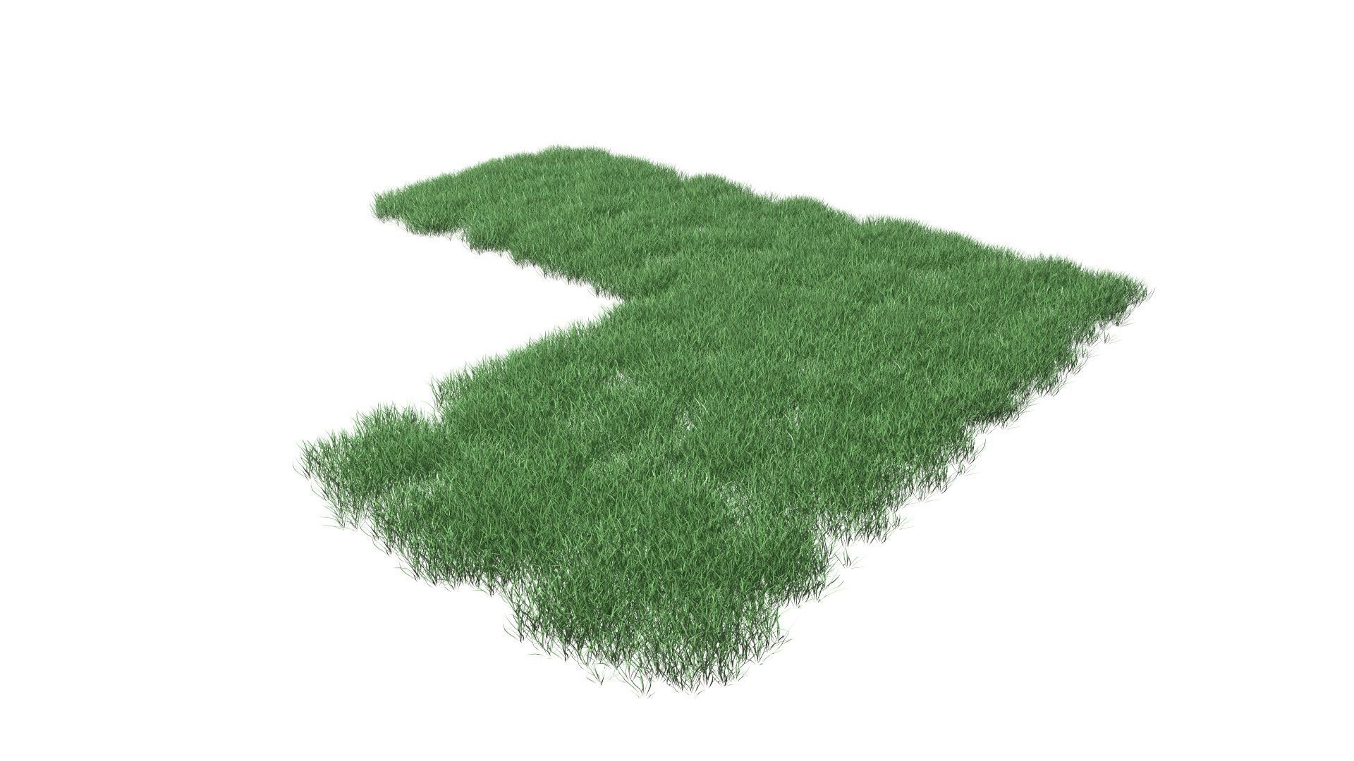 Realistic Lawn Grass Patch 3D model_31