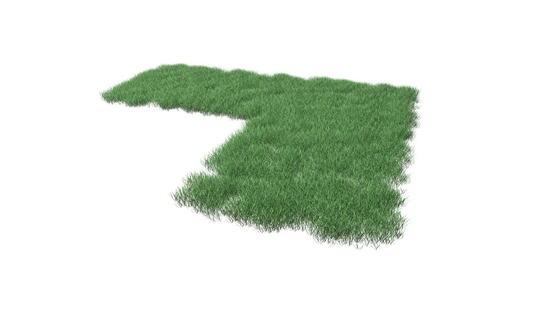 Realistic Lawn Grass Patch 3D model_44