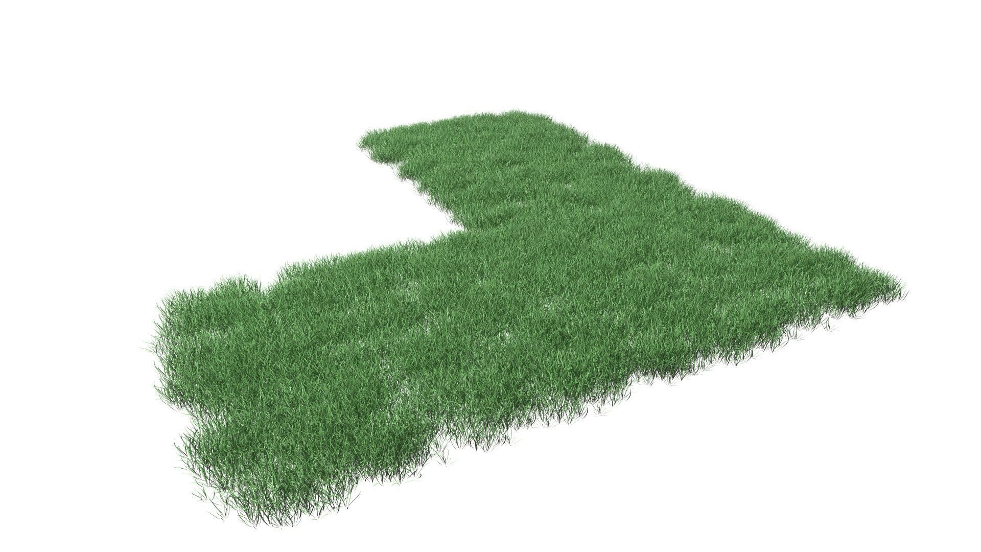 Realistic Lawn Grass Patch 3D model_19