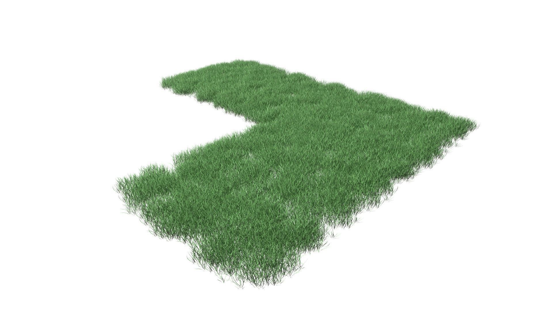 Realistic Lawn Grass Patch 3D model_29