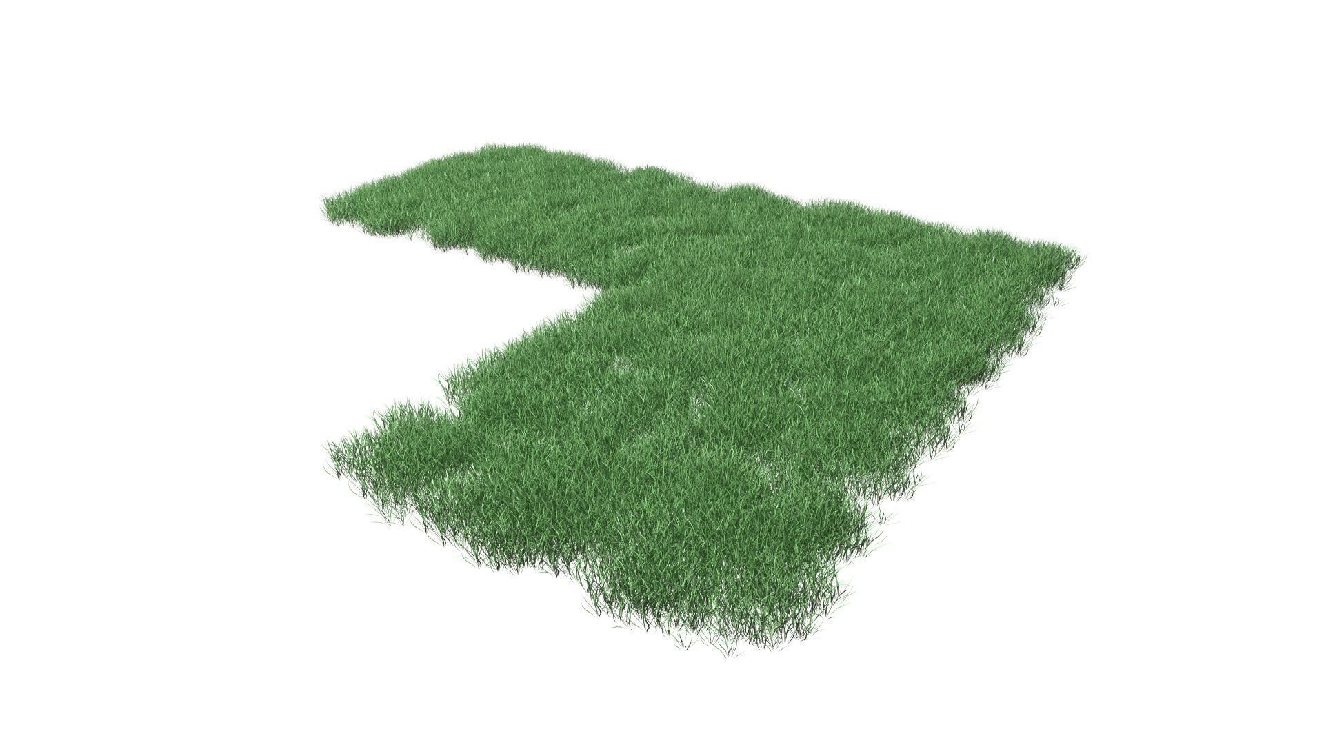 Realistic Lawn Grass Patch 3D model_35