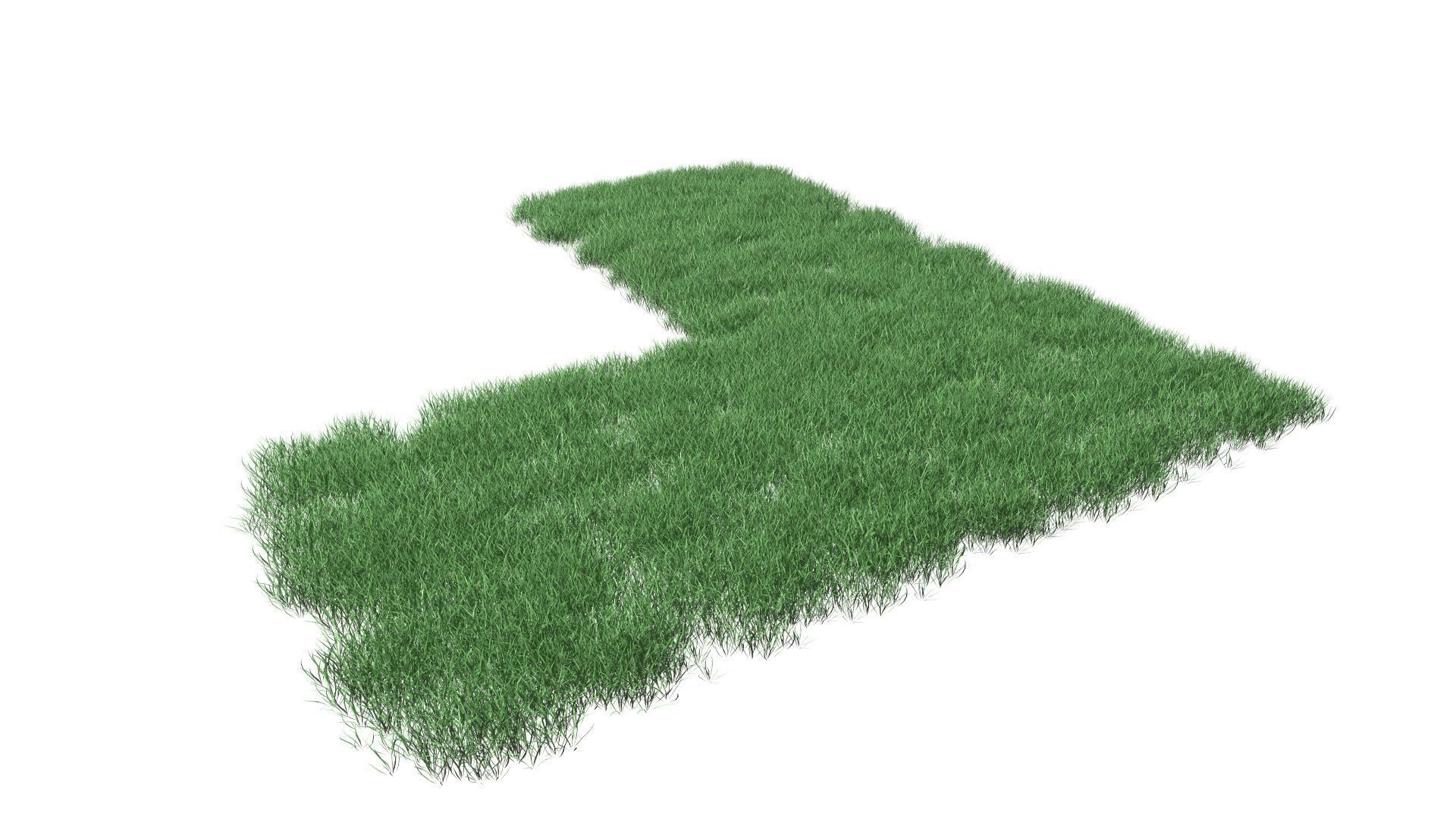 Realistic Lawn Grass Patch 3D model_22
