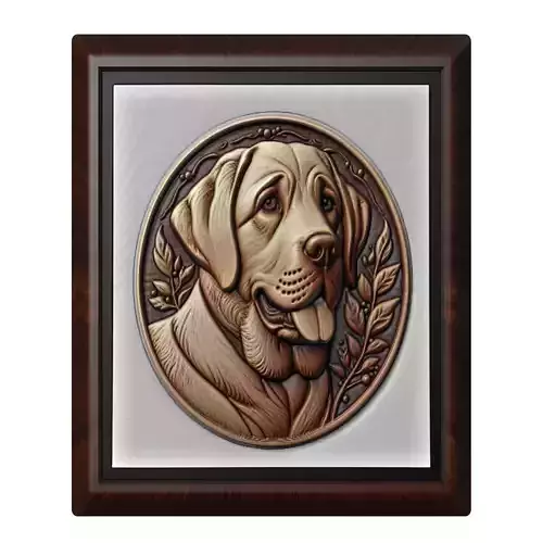 Dog Labrador Retriever Animal