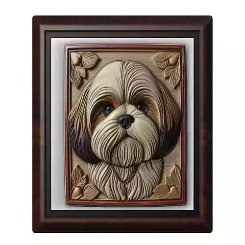 Dog Shih Tzu Animal