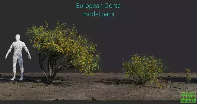 Ulex europaeus - European Gorse model pack