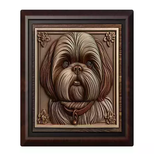Dog Shih Tzu Animal