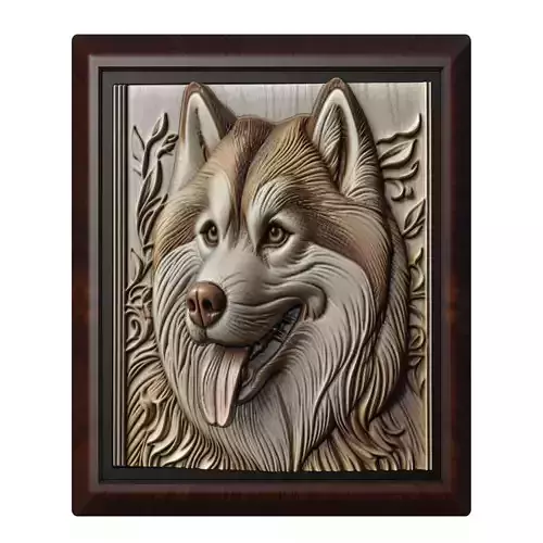 Dog Siberian Husky Animal