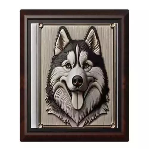 Dog Siberian Husky Animal