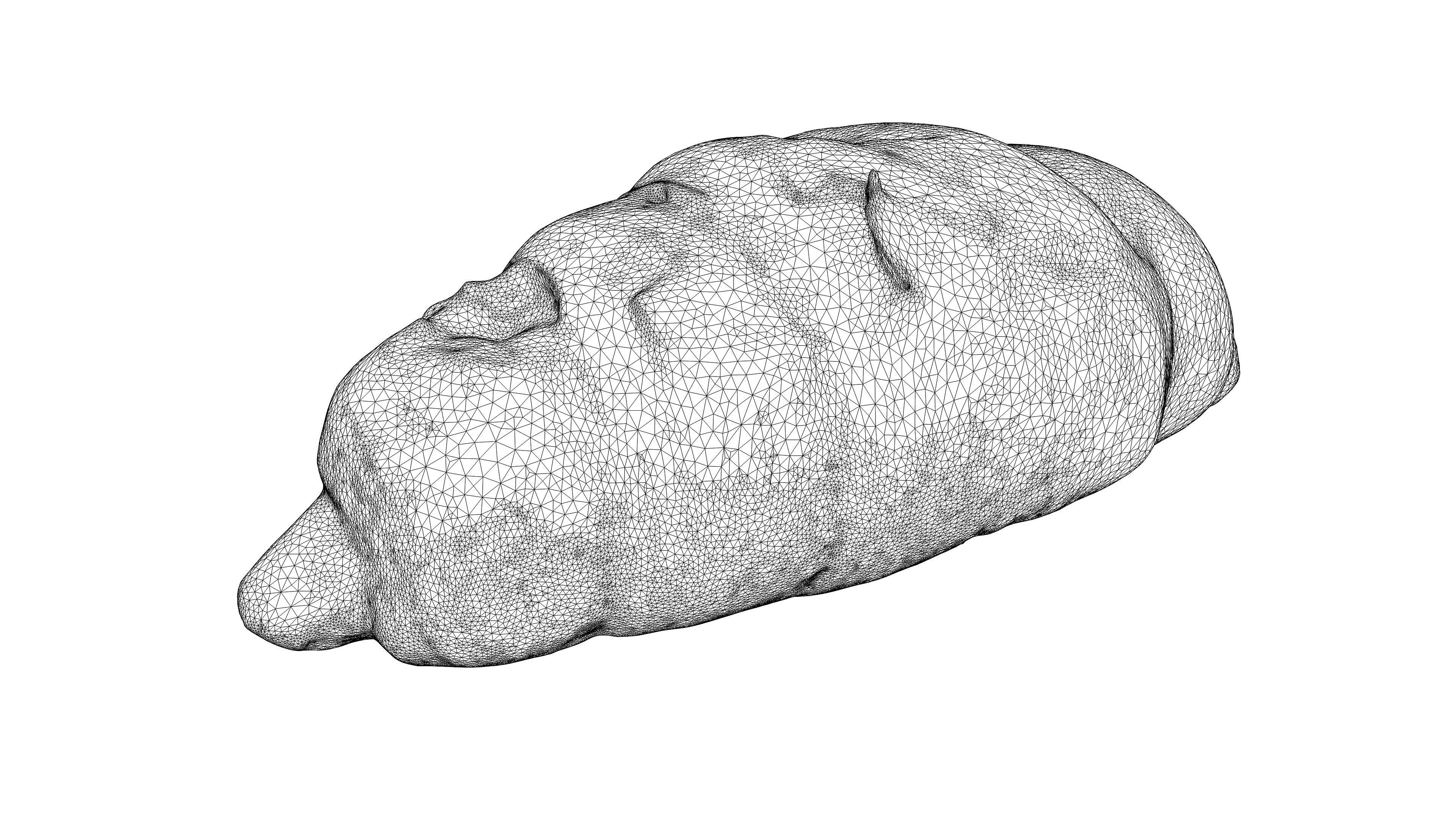 Photorealistic 3D scan of sweet  croissant Low-poly 3D model_22