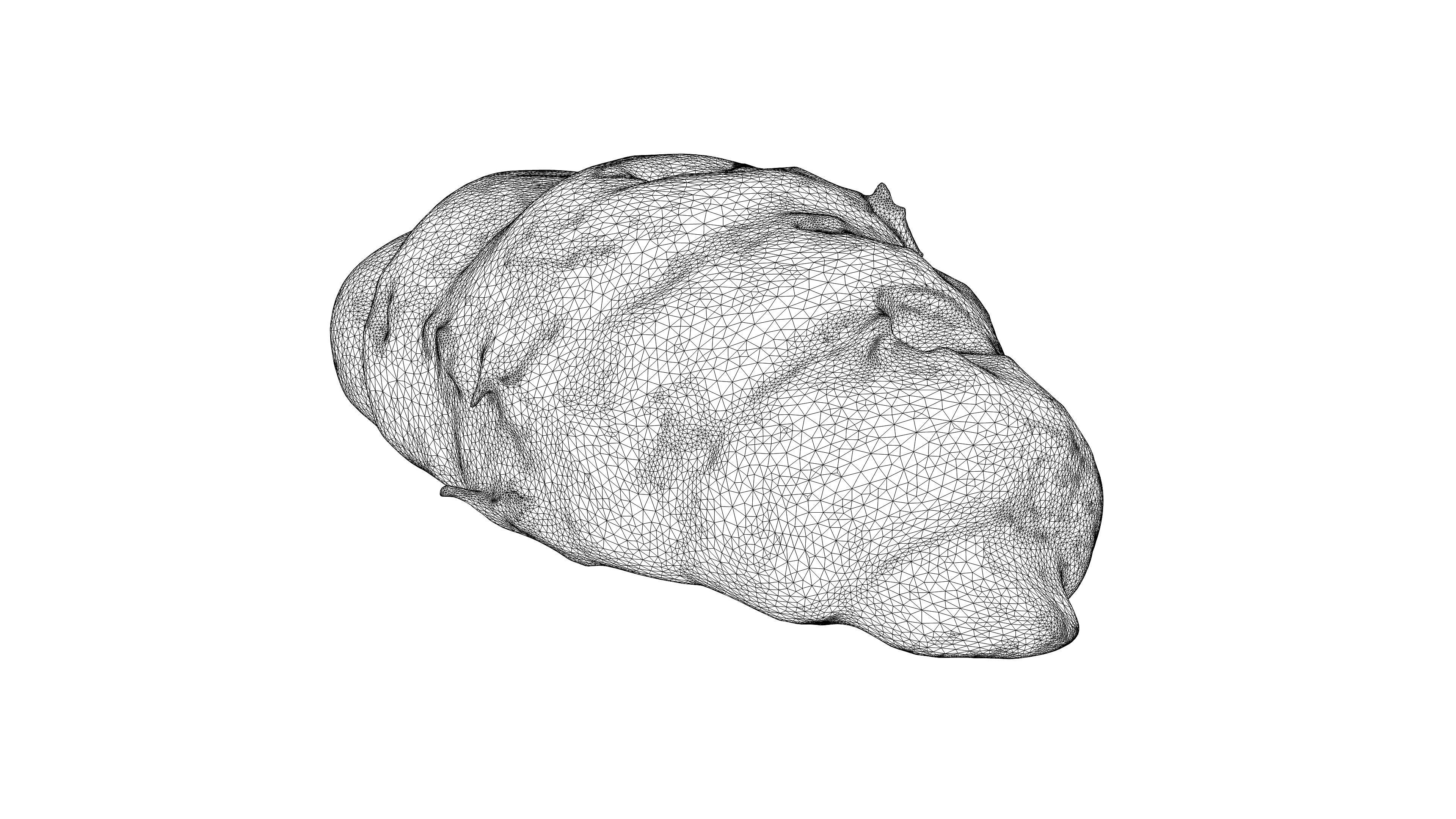 Photorealistic 3D scan of sweet  croissant Low-poly 3D model_20