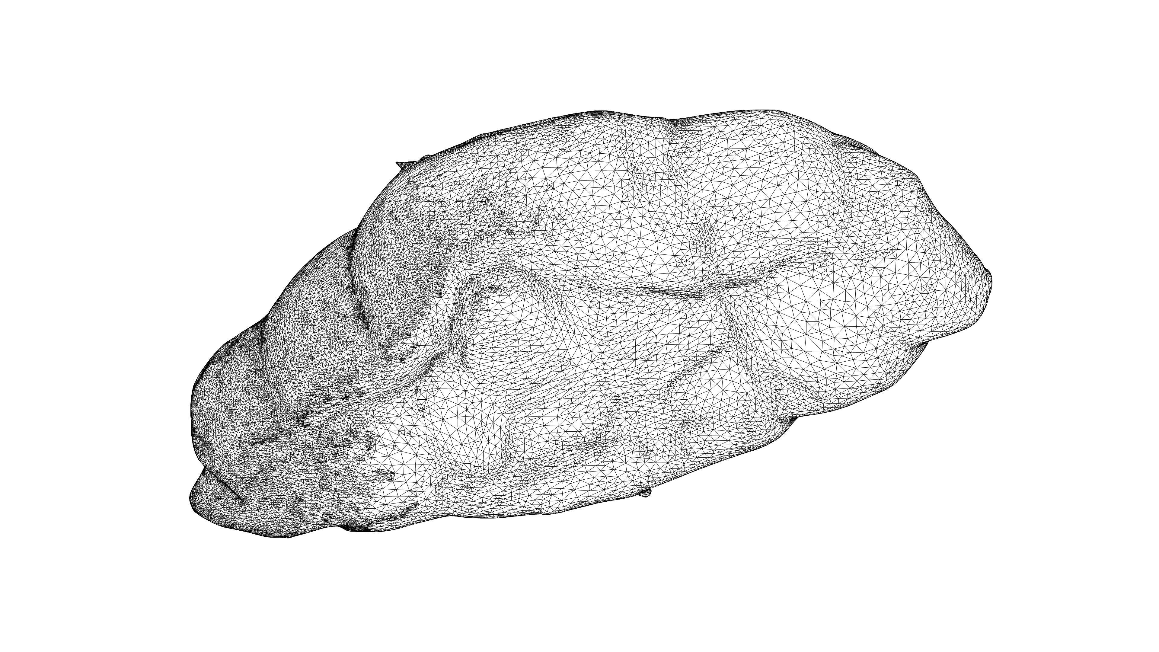 Photorealistic 3D scan of sweet  croissant Low-poly 3D model_23