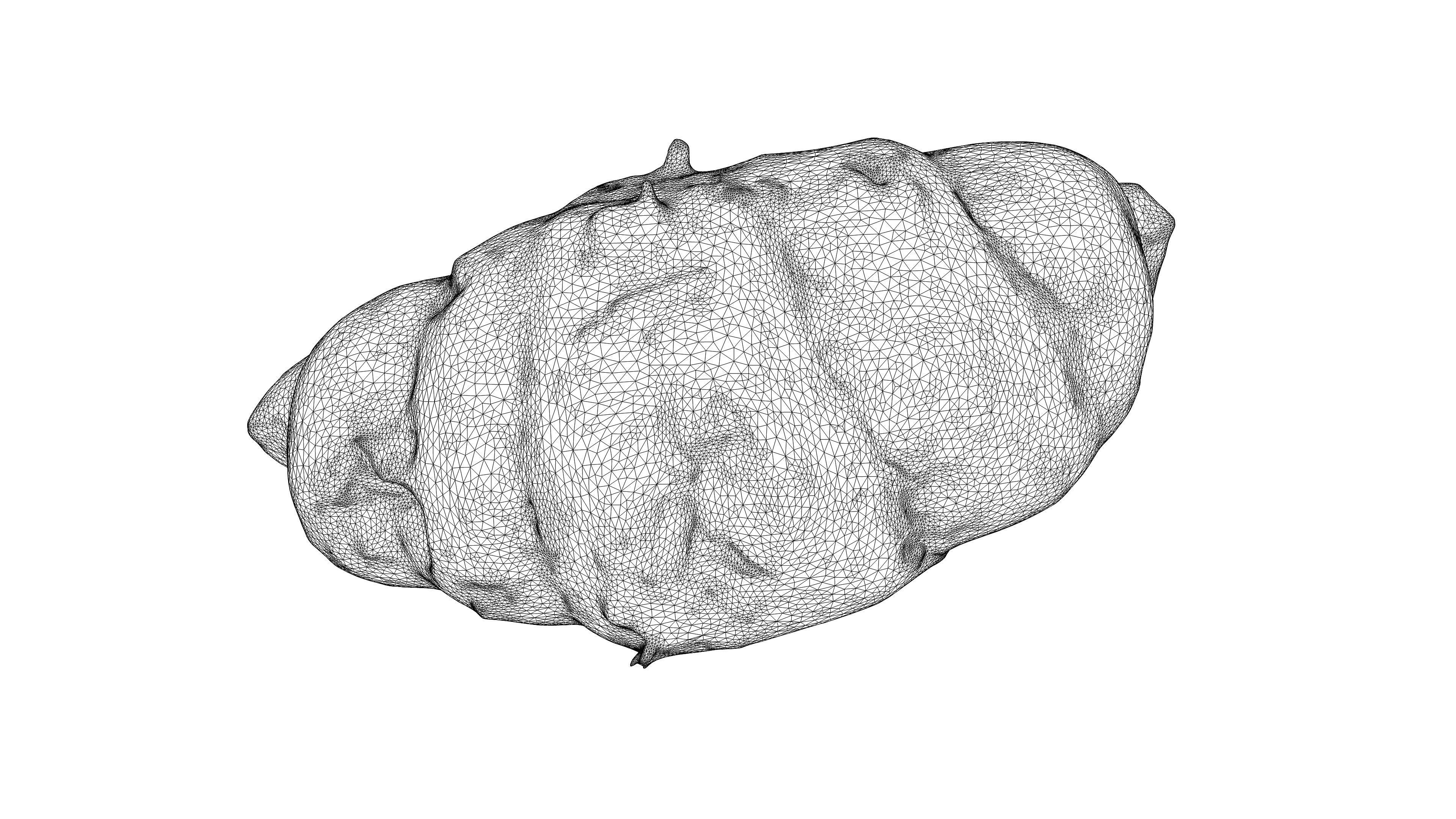 Photorealistic 3D scan of sweet  croissant Low-poly 3D model_24