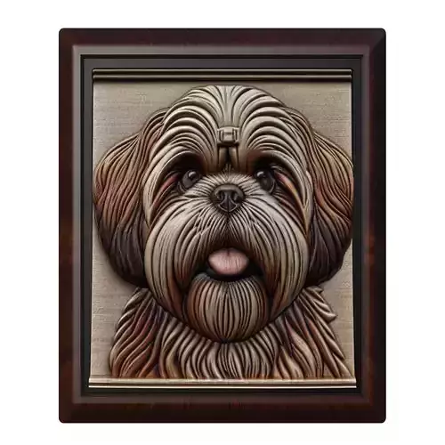 Dog Shih Tzu Animal