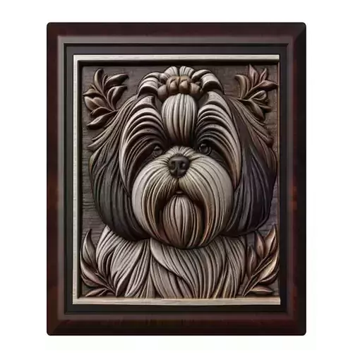 Dog Shih Tzu Animal