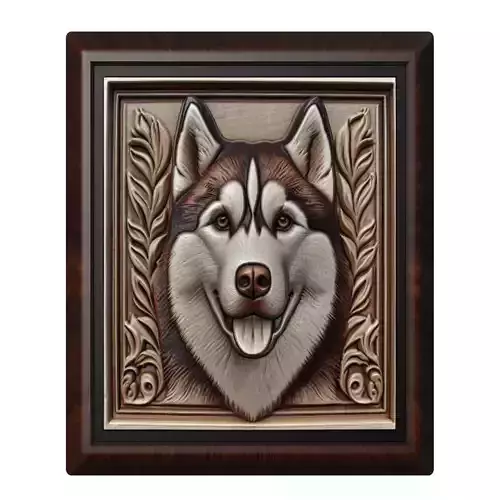 Dog Siberian Husky Animal