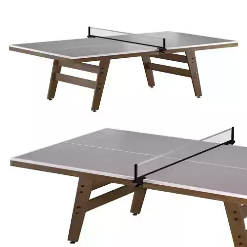 19mm Hamilton Table Tennis Table 3D model