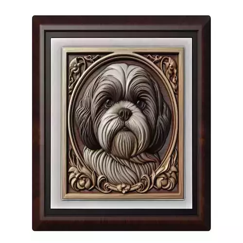 Dog Shih Tzu Animal