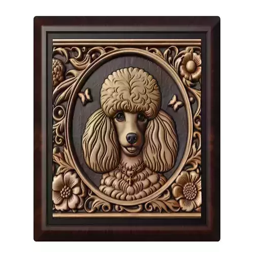 Dog Poodle Animal
