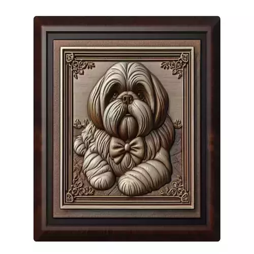 Dog Shih Tzu Animal
