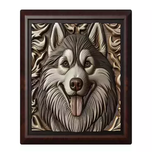 Dog Siberian Husky Animal