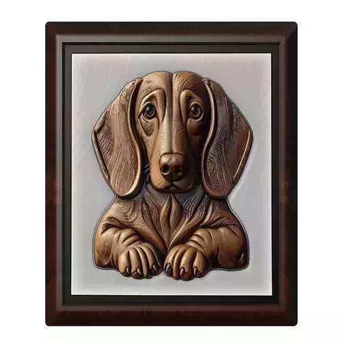 Dog Dachshund Animal