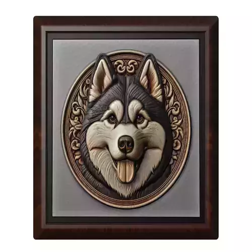 Dog Siberian Husky Animal