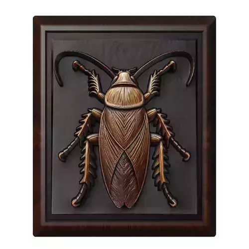 Cockroach Animal