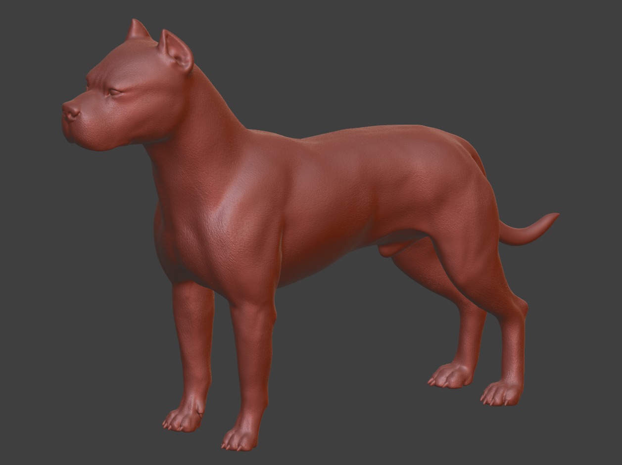 Argentine Dogo dog 3D print model_2