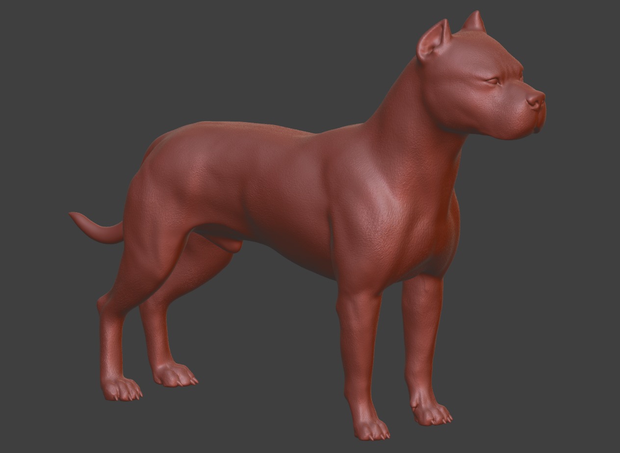 Argentine Dogo dog 3D print model_3