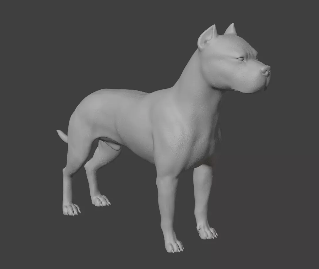 Argentine Dogo dog 3D print model_0