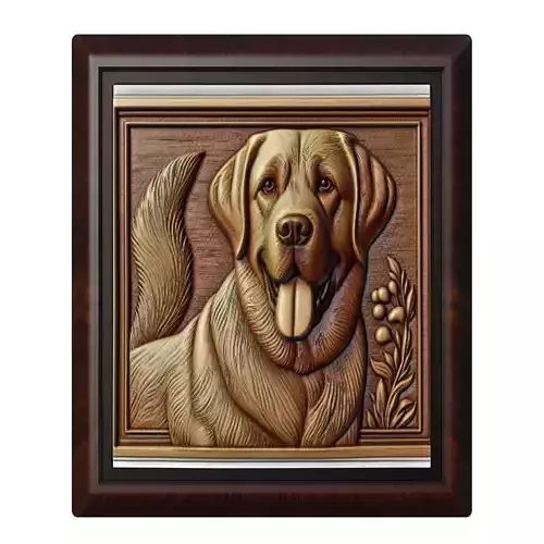 Dog Labrador Retriever Animal