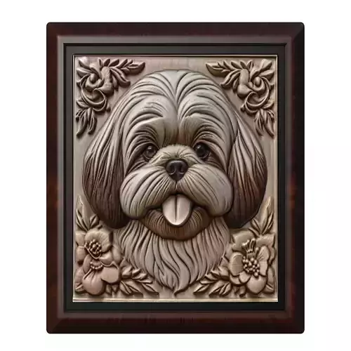 Dog Shih Tzu Animal
