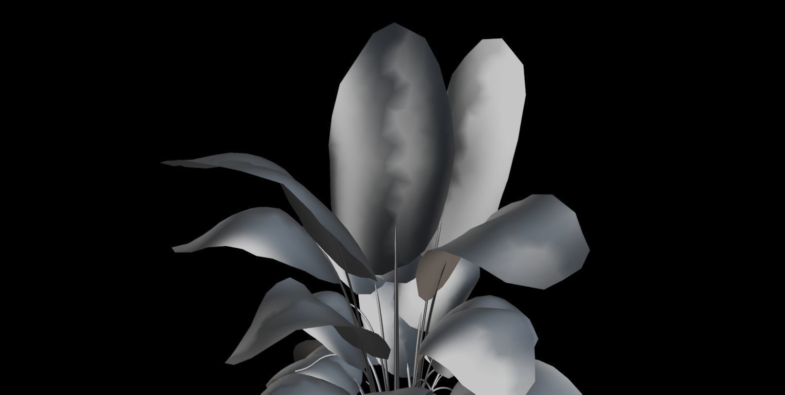 Plant 3D model_5