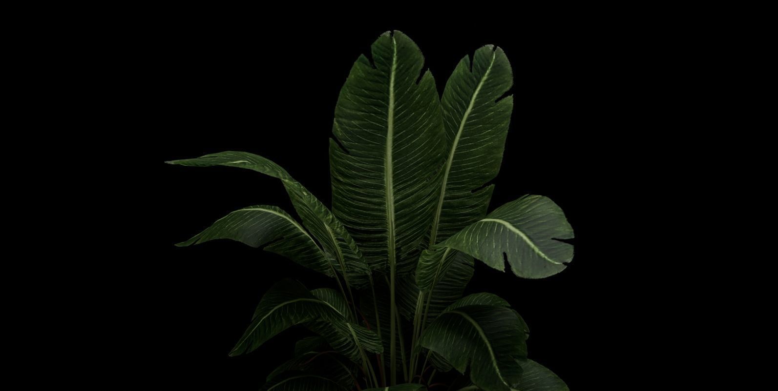 Plant 3D model_2