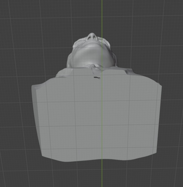 Ernest Shackleton 3D print model_6