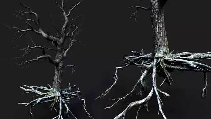 tree pine roots photogrammetry 3d branches model