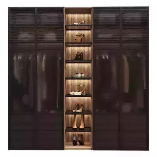 Wardrobe with decor clothes doors matte