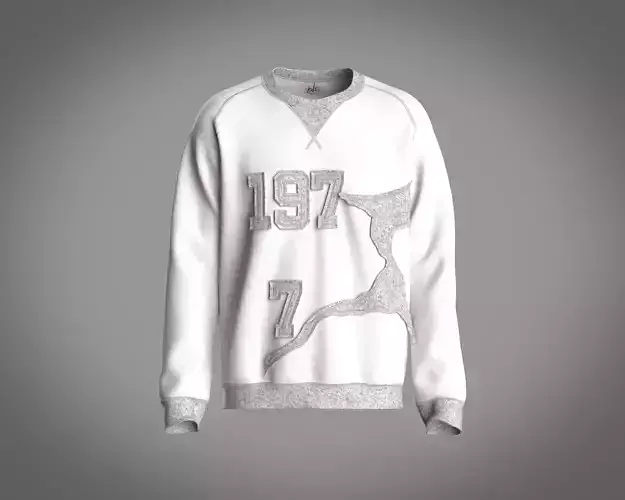 Raglan sweatshirt with patch work lettering