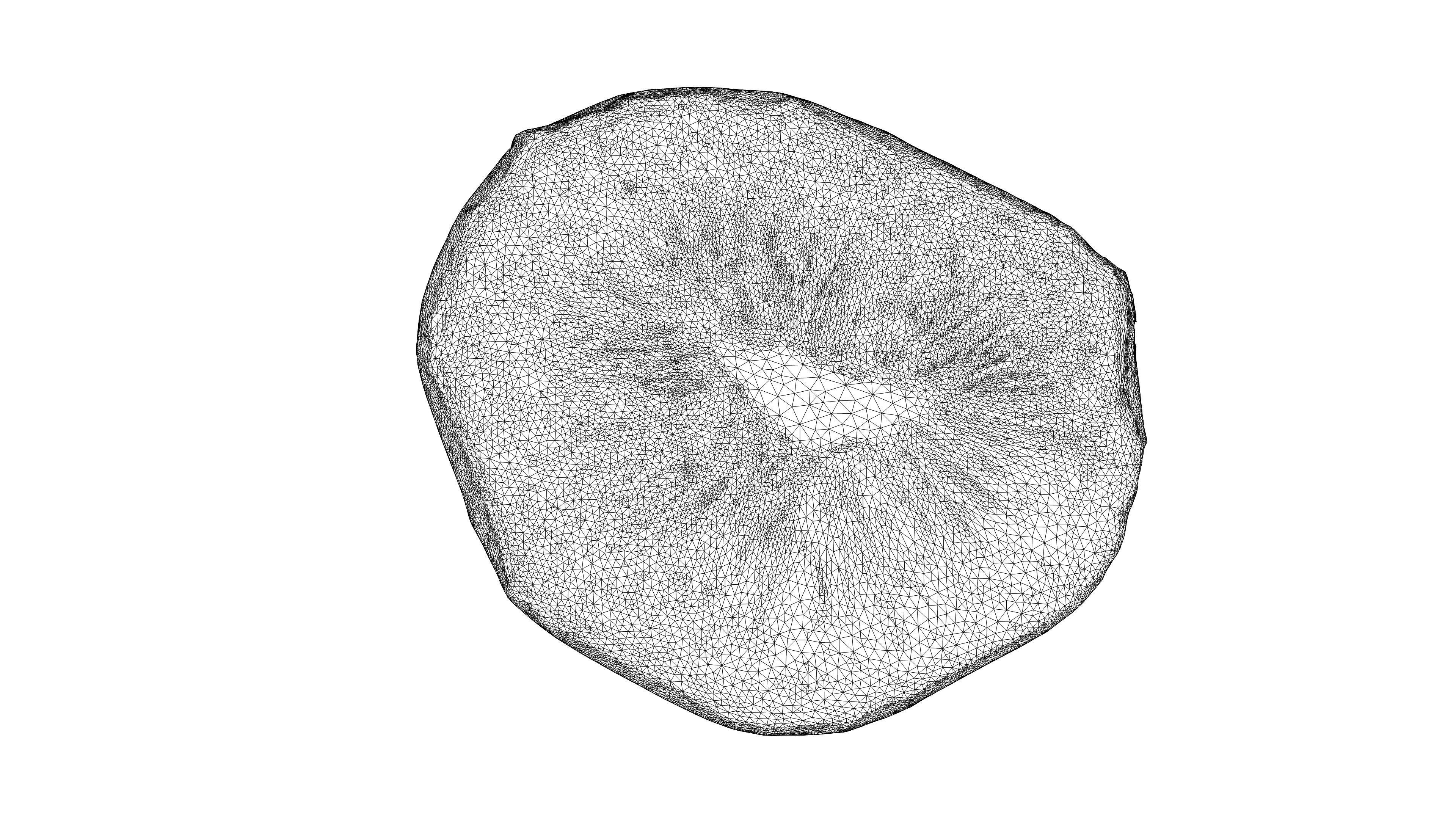 Photorealistic 3D scan half a kiwi Low-poly 3D model_22