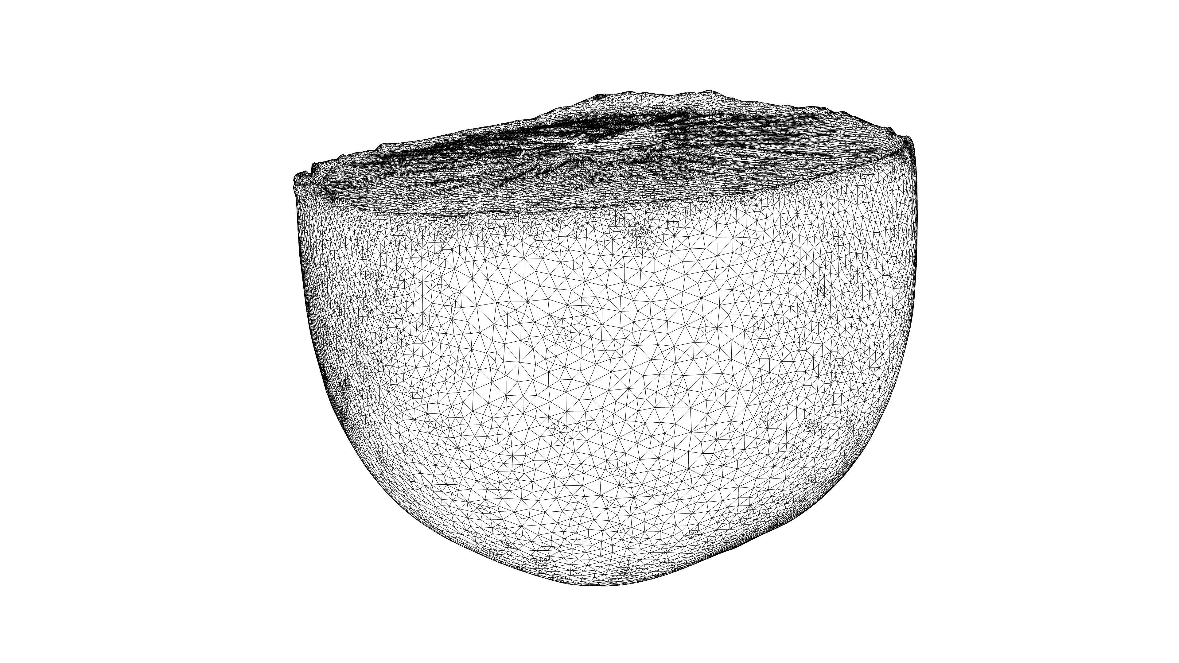 Photorealistic 3D scan half a kiwi Low-poly 3D model_20