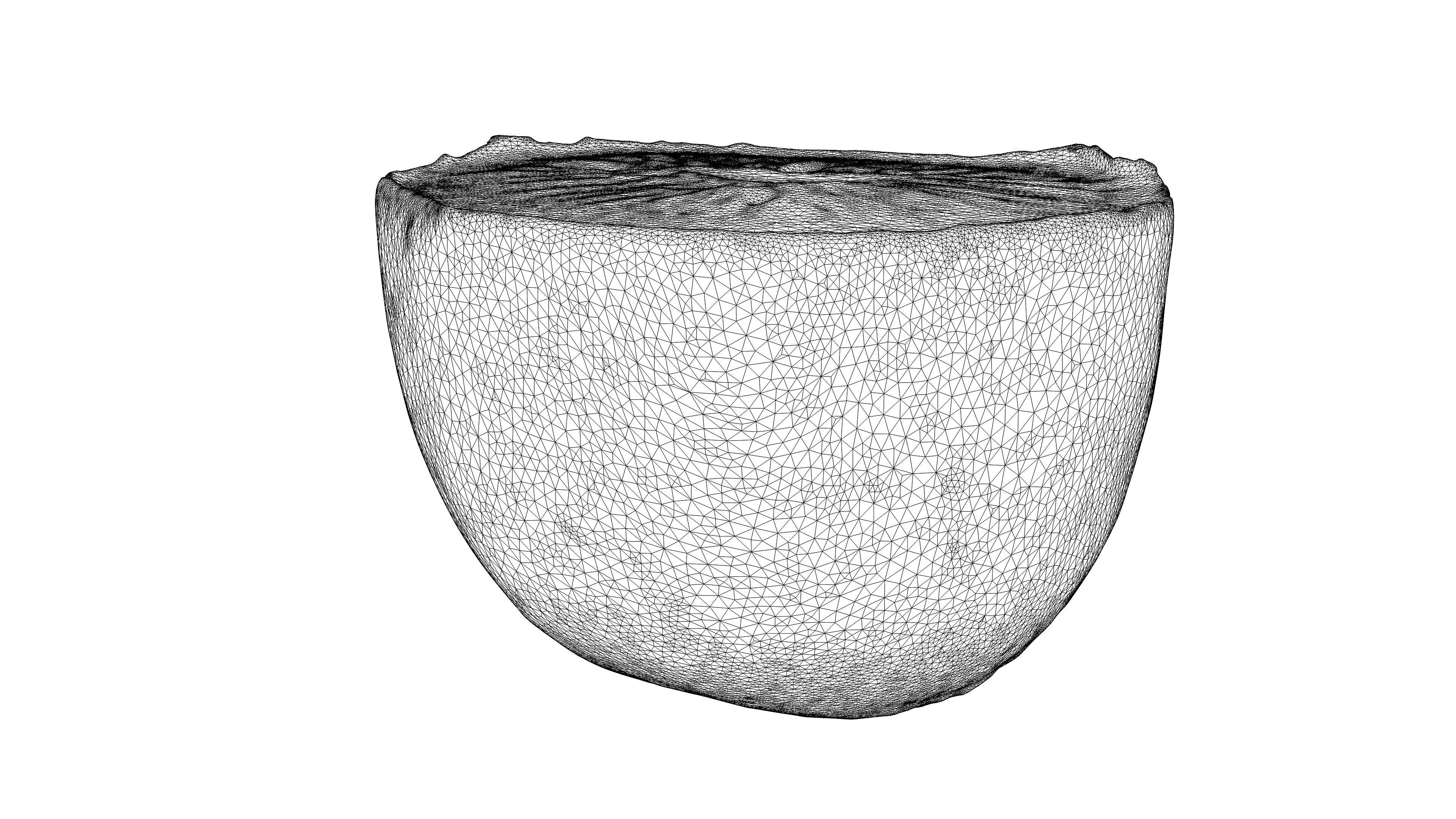 Photorealistic 3D scan half a kiwi Low-poly 3D model_21