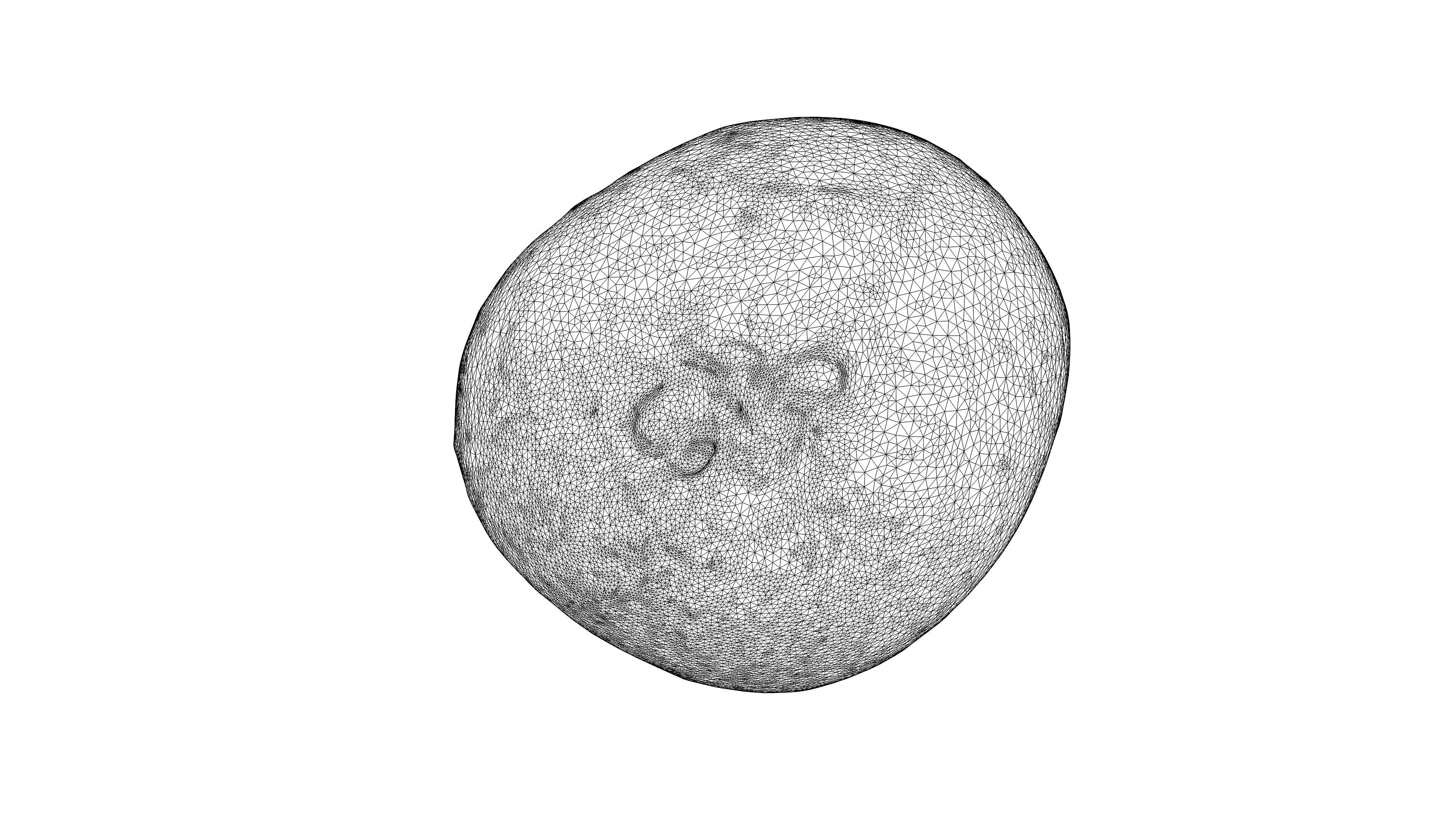 Photorealistic 3D scan half a kiwi Low-poly 3D model_23