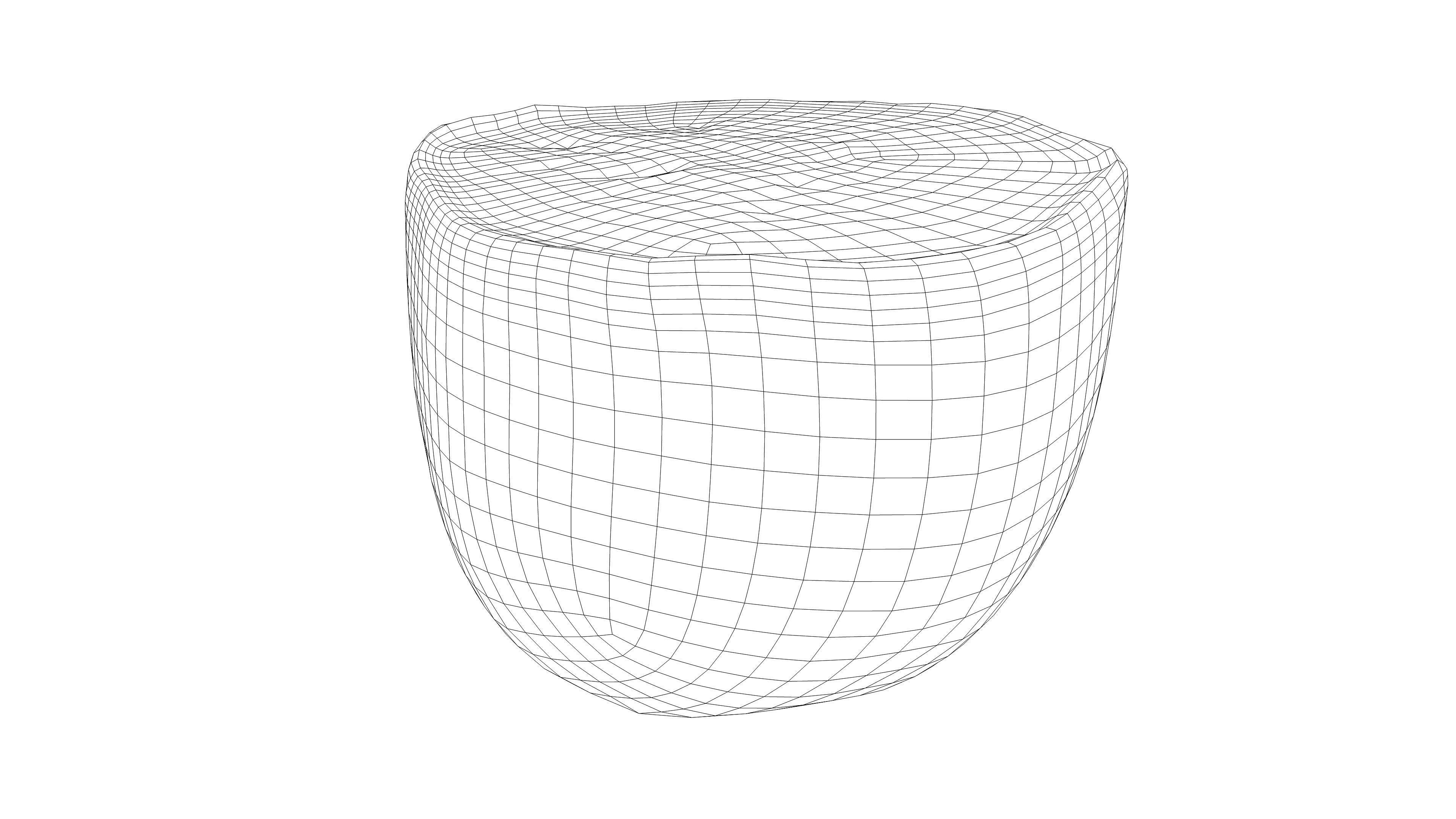 Photorealistic 3D scan half a kiwi Low-poly 3D model_18