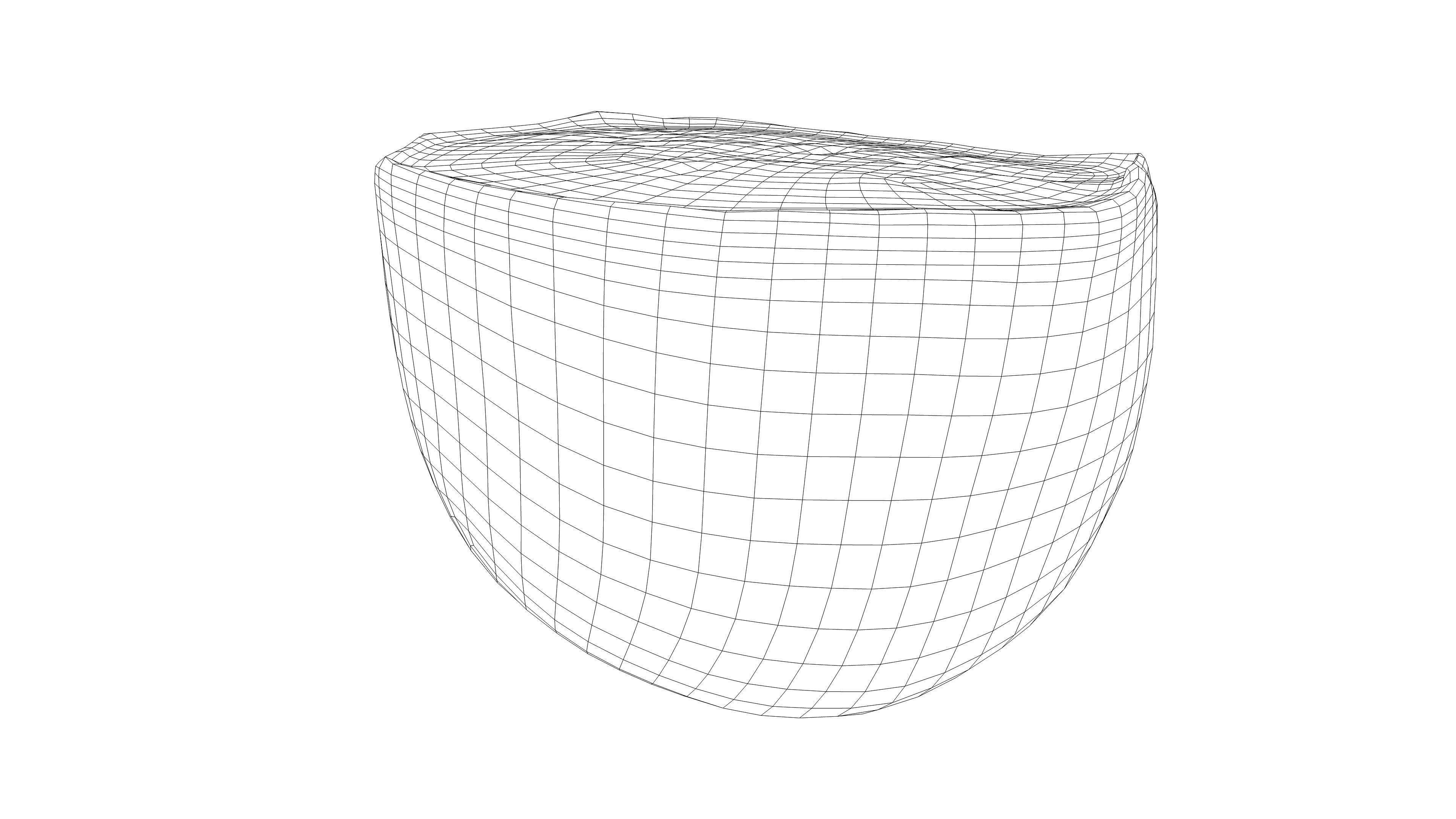 Photorealistic 3D scan half a kiwi Low-poly 3D model_15