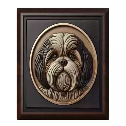 Dog Shih Tzu Animal