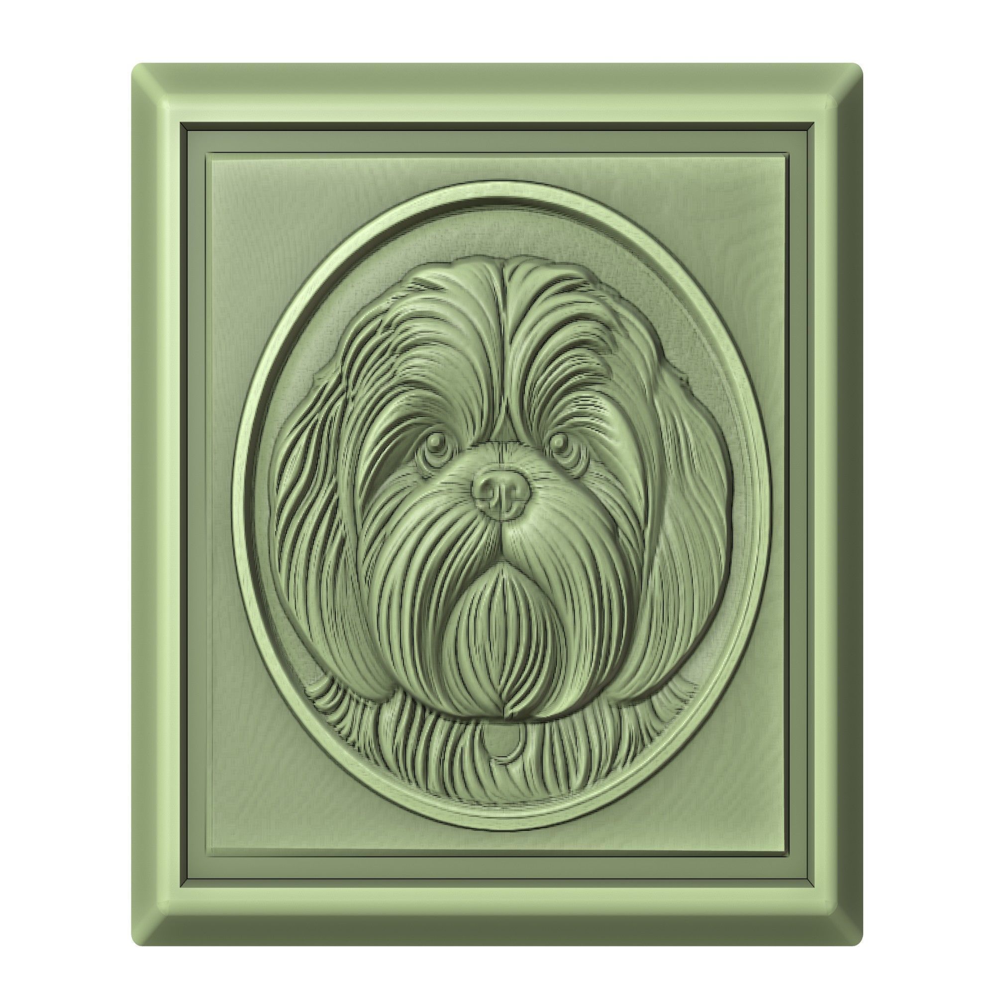 Dog Shih Tzu Animal 3D print model_2